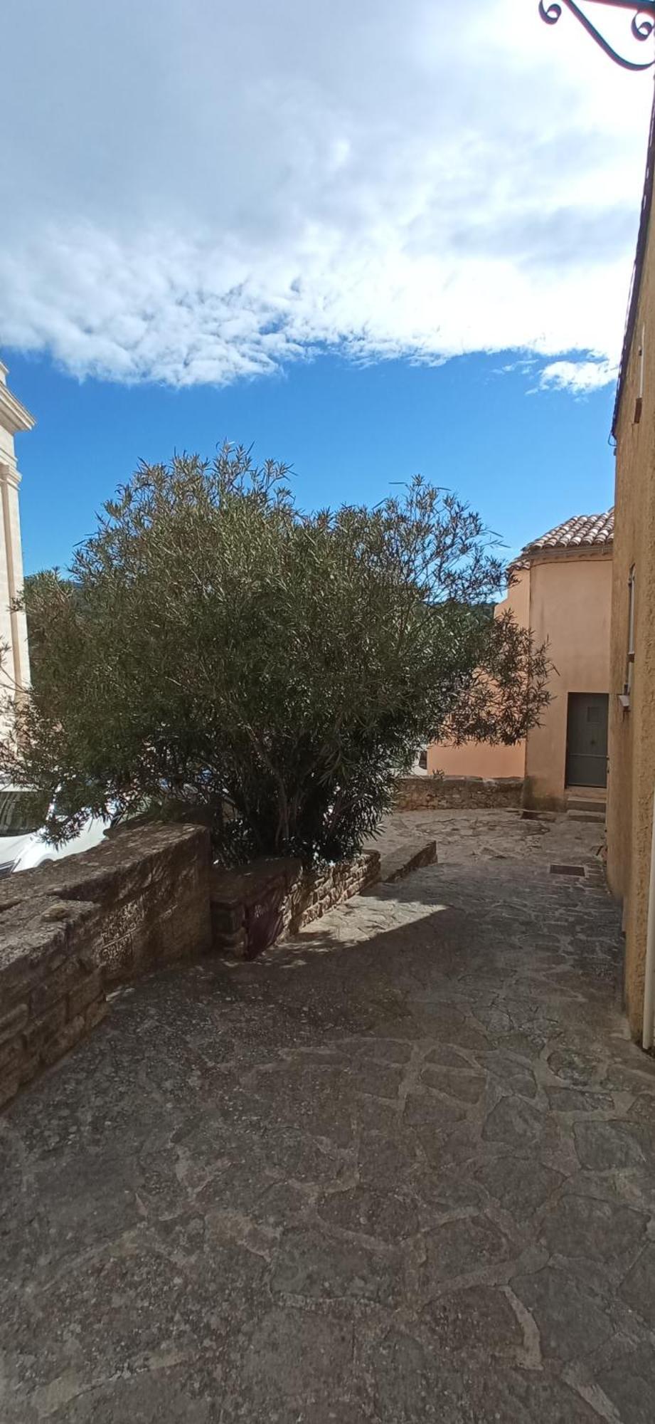 Studio Tout Confort En Provence Mont Ventoux. Бедуэн Экстерьер фото
